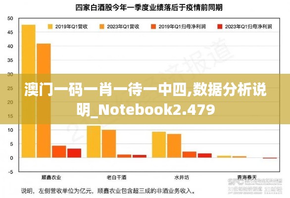 澳门一码一肖一待一中四,数据分析说明_Notebook2.479