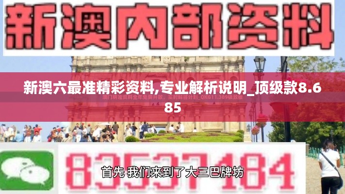 新澳六最准精彩资料,专业解析说明_顶级款8.685