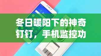 冬日暖阳下的钉钉奇迹,手机监控功能的日常探索