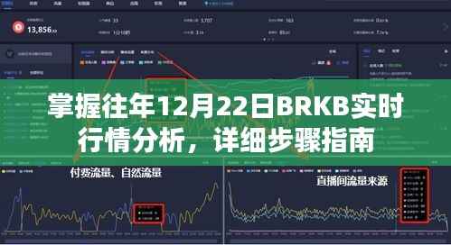 掌握往年12月22日BRKB实时行情分析，详细步骤指南与行情解读