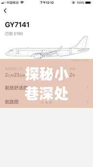 探秘小巷深处的独特风味,揭开Gy7143航班实时动态查询背后的神秘面纱