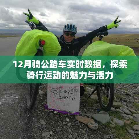 12月公路骑行实时数据,感受运动的魅力与活力