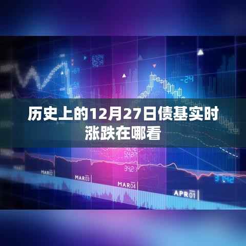 债基实时涨跌查看指南,历史日期下的基金动态监控