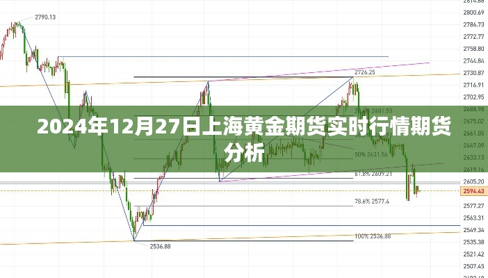 上海黄金期货行情分析,最新实时行情及期货走势预测
