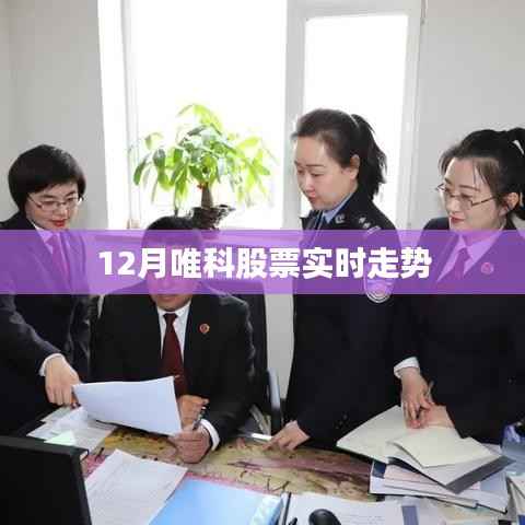 唯科股票12月实时走势分析