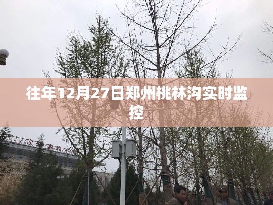 郑州桃林沟实时动态监控往年观察