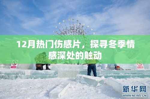 冬季热门伤感电影,情感深处的触动