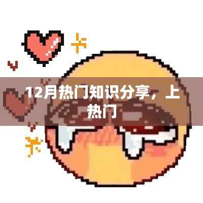 热门知识分享，揭秘十二月热点