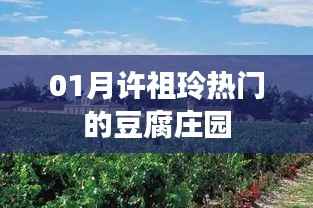 许祖玲豆腐庄园,热门美食新发现