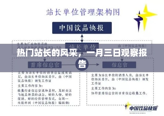 站长风采观察报告,一月三日深度解读