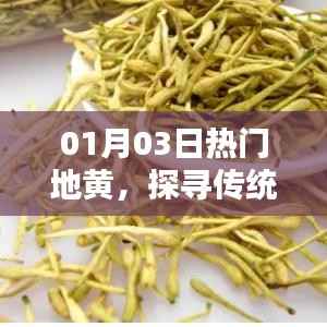 探寻传统药材地黄魅力与价值,热门药材解析