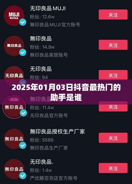 抖音热门助手揭秘,谁是未来之星?