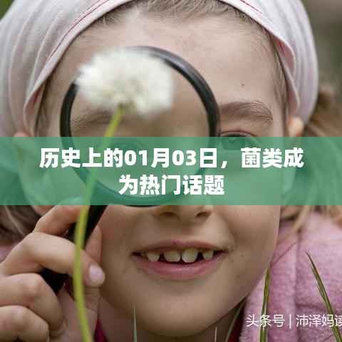 菌类话题日，历史上的1月3日回顾