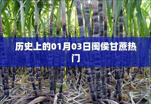 闽侯甘蔗历史,探寻一月三日的文化印记