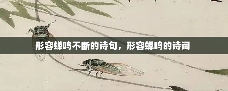 形容蝉鸣不断的诗句,形容蝉鸣的诗词