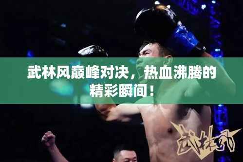 武林风巅峰对决,热血沸腾的精彩瞬间!