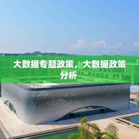 大数据专题政策,大数据政策分析