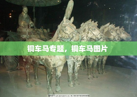 铜车马专题,铜车马图片