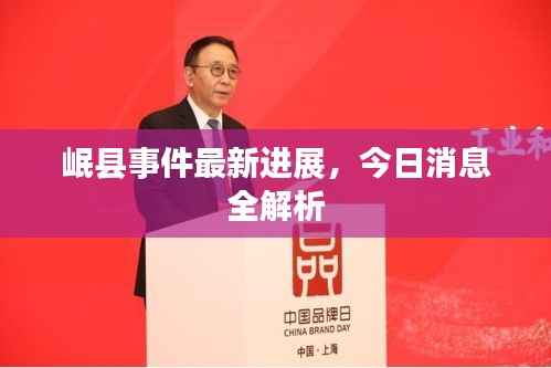 岷县事件最新进展,今日消息全解析