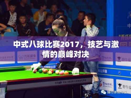 中式八球比赛2017，技艺与激情的巅峰对决