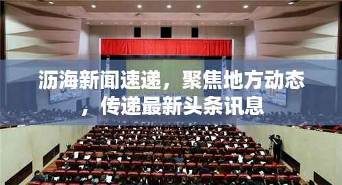 沥海新闻速递,聚焦地方动态,传递最新头条讯息