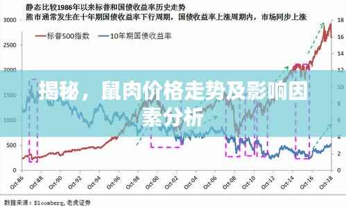 揭秘,鼠肉价格走势及影响因素分析