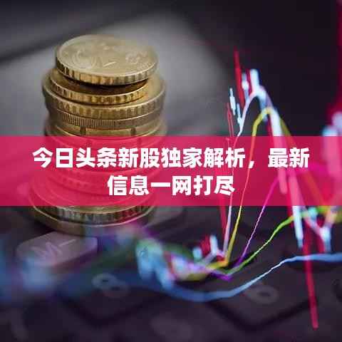今日头条新股独家解析,最新信息一网打尽