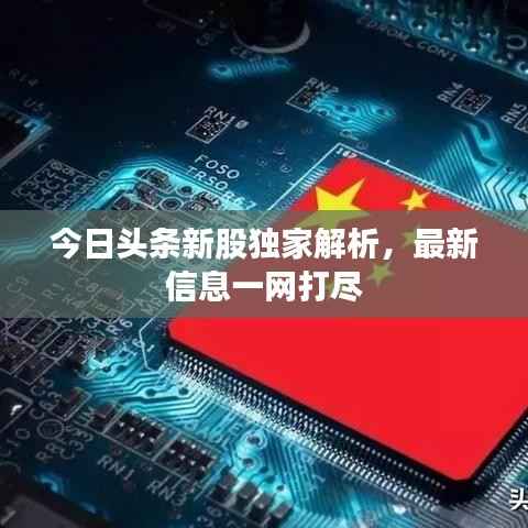 今日头条新股独家解析,最新信息一网打尽