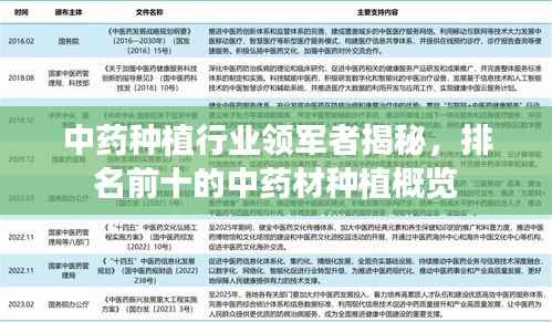 中药种植行业领军者揭秘,排名前十的中药材种植概览