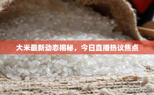 教程参考 第247页