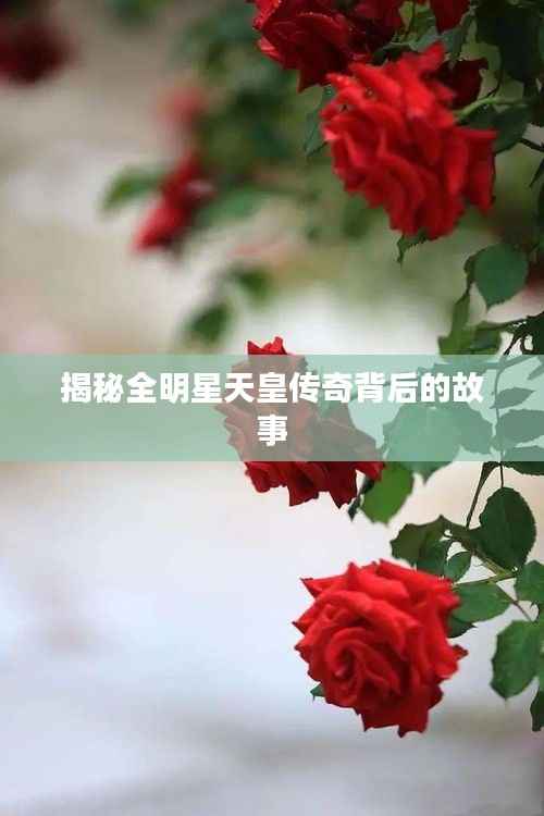 揭秘全明星天皇传奇背后的故事