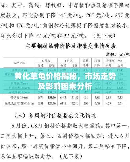 黄化草龟价格揭秘，市场走势及影响因素分析