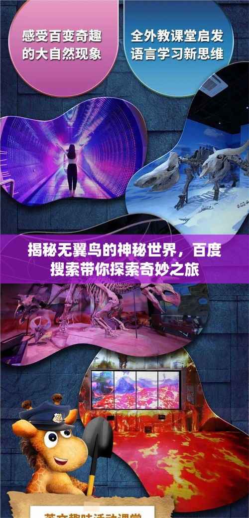 揭秘无翼鸟的神秘世界,百度搜索带你探索奇妙之旅