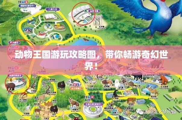 动物王国游玩攻略图,带你畅游奇幻世界!