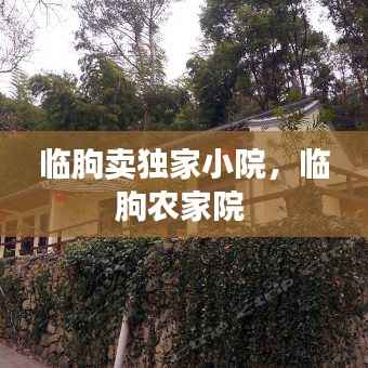 临朐卖独家小院,临朐农家院