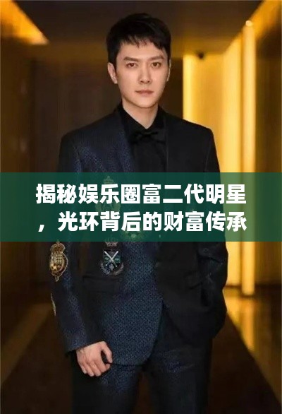 揭秘娱乐圈富二代明星,光环背后的财富传承之旅