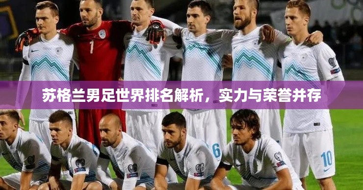 苏格兰男足世界排名解析,实力与荣誉并存