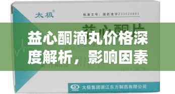 益心酮滴丸价格深度解析,影响因素探讨