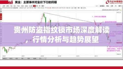 贵州防盗指纹锁市场深度解读,行情分析与趋势展望