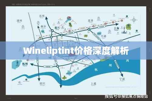 Wineliptint价格深度解析