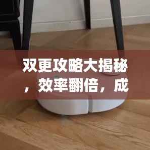 双更攻略大揭秘,效率翻倍,成果双倍达成!