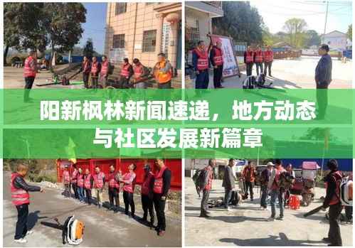 阳新枫林新闻速递,地方动态与社区发展新篇章