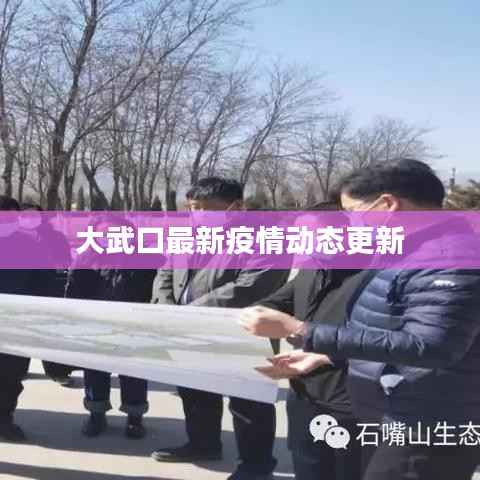 大武口最新疫情动态更新
