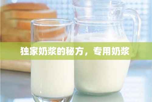 独家奶浆的秘方，专用奶浆 