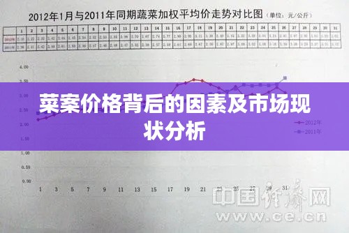 菜案价格背后的因素及市场现状分析