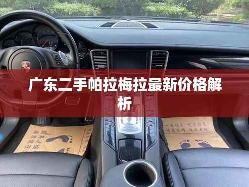 广东二手帕拉梅拉最新价格解析