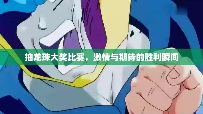 抽龙珠大奖比赛,激情与期待的胜利瞬间