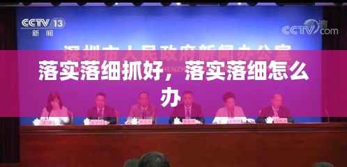 落实落细抓好,落实落细怎么办