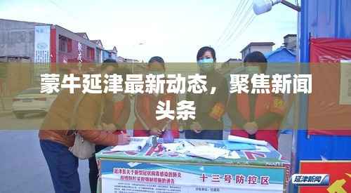 蒙牛延津最新动态，聚焦新闻头条