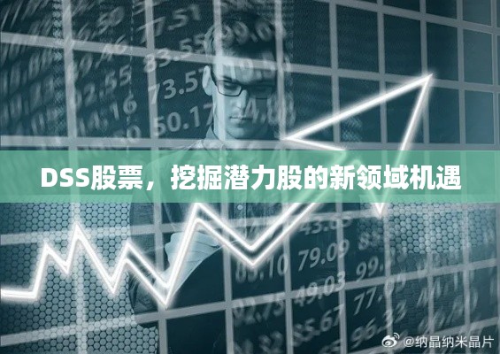 DSS股票,挖掘潜力股的新领域机遇
